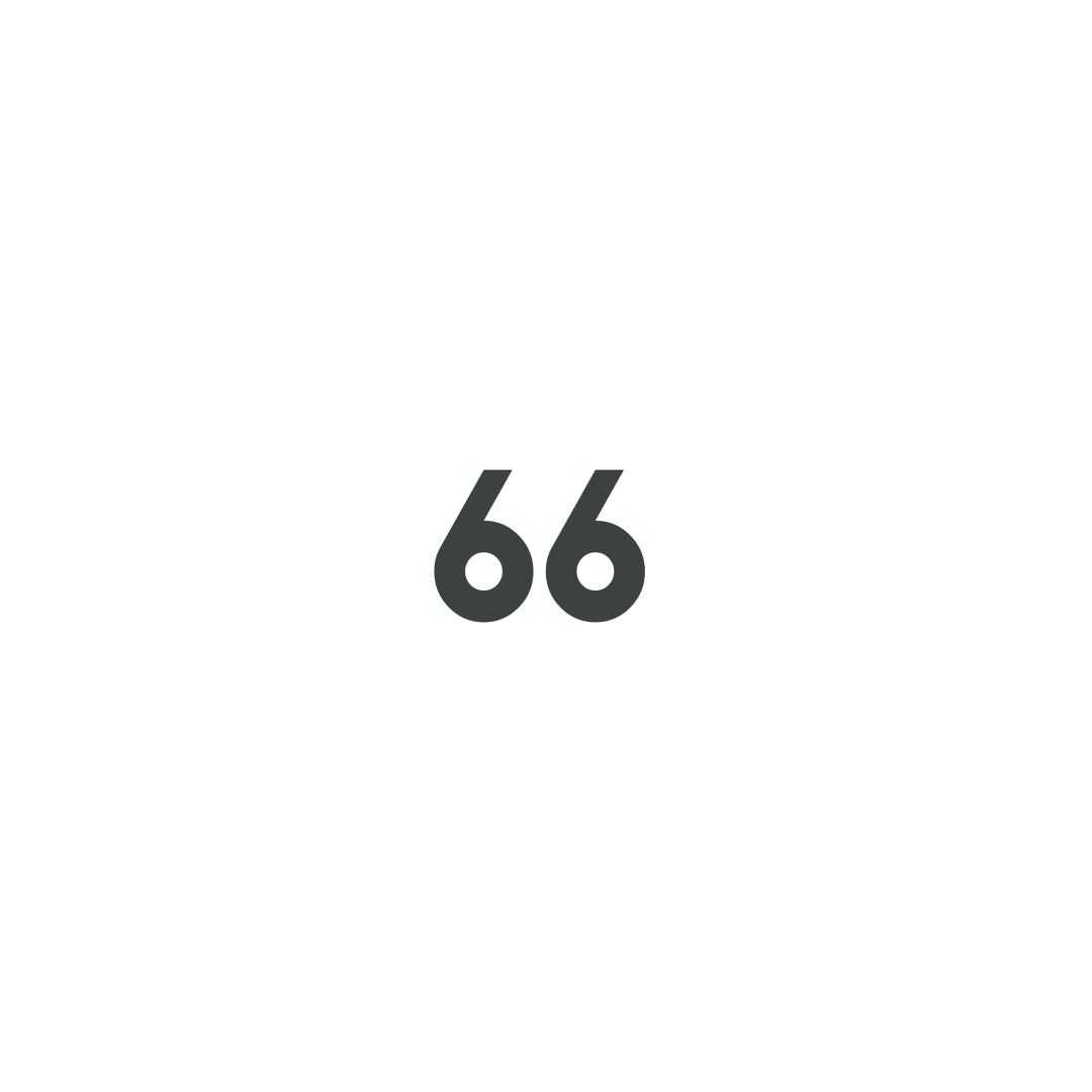 66 Icon